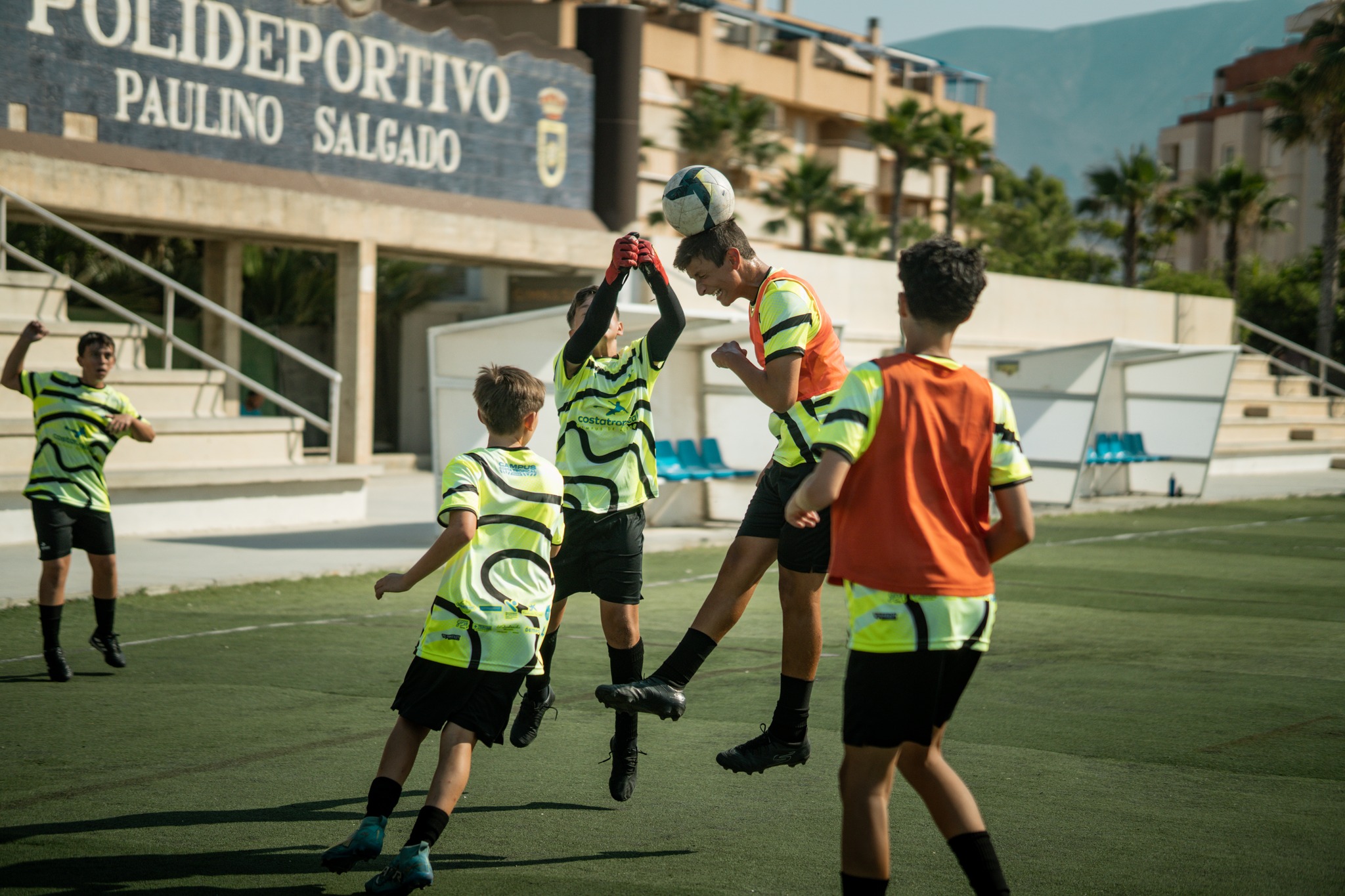 Inicio 514183486 1072957188268444 6814157953468793815 n