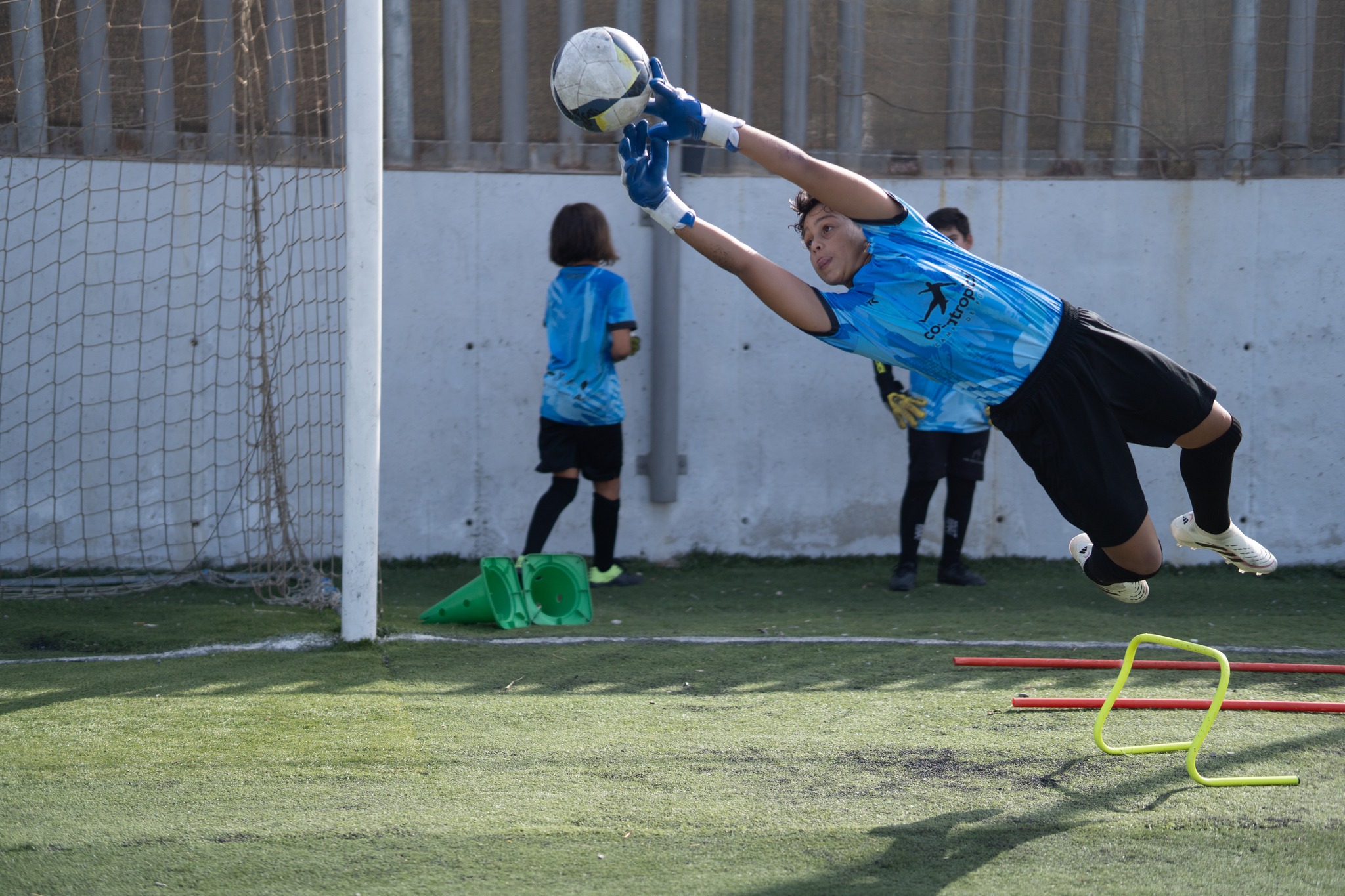 Inicio 517428647 1080502734180556 1371378326481308289 n