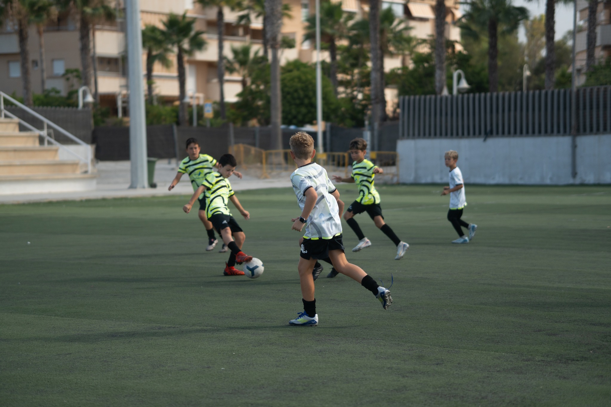 Inicio 518141682 1084976027066560 4323959991921467594 n