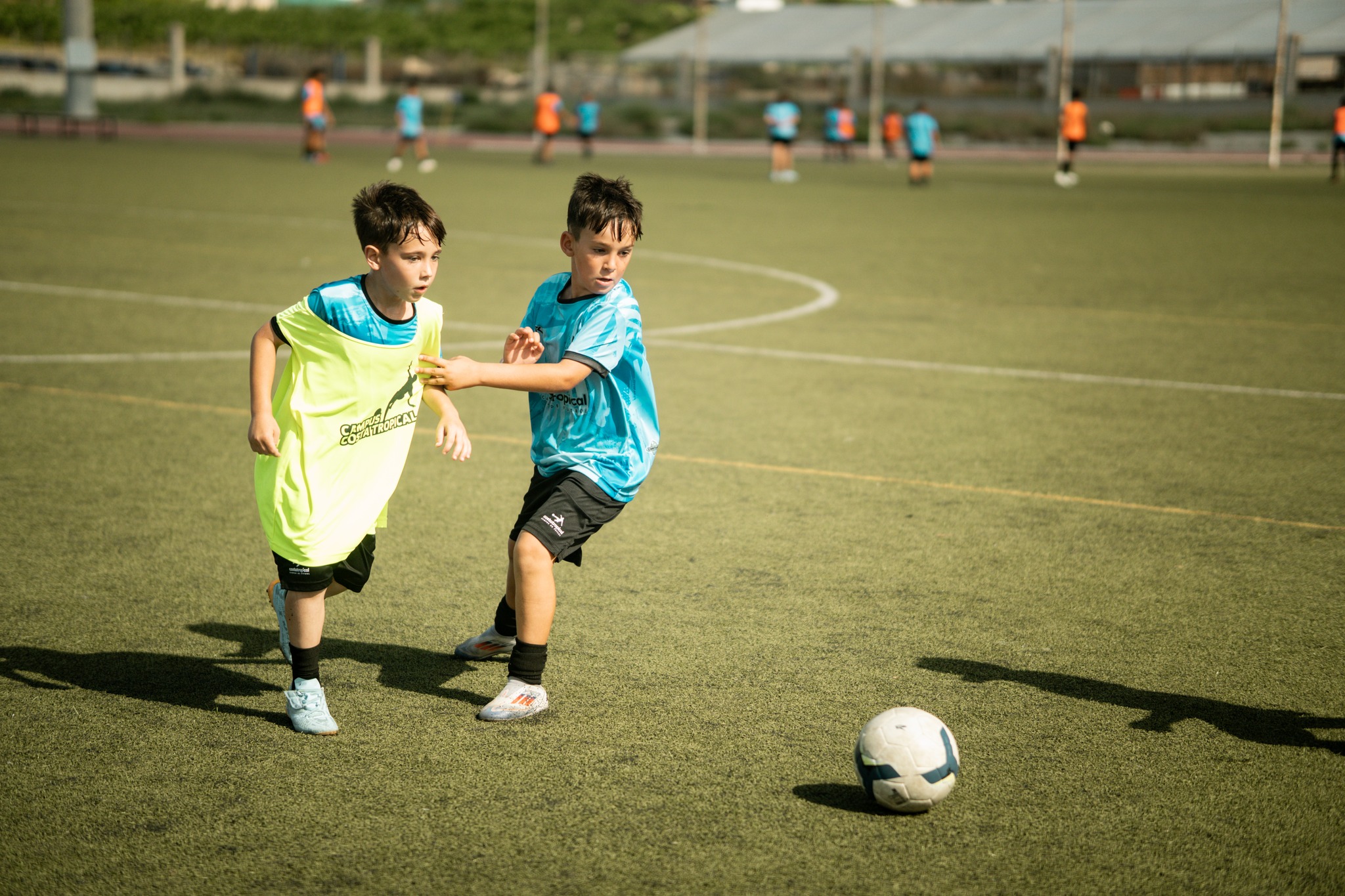 Inicio 518286972 1085701073660722 3086817132030271222 n