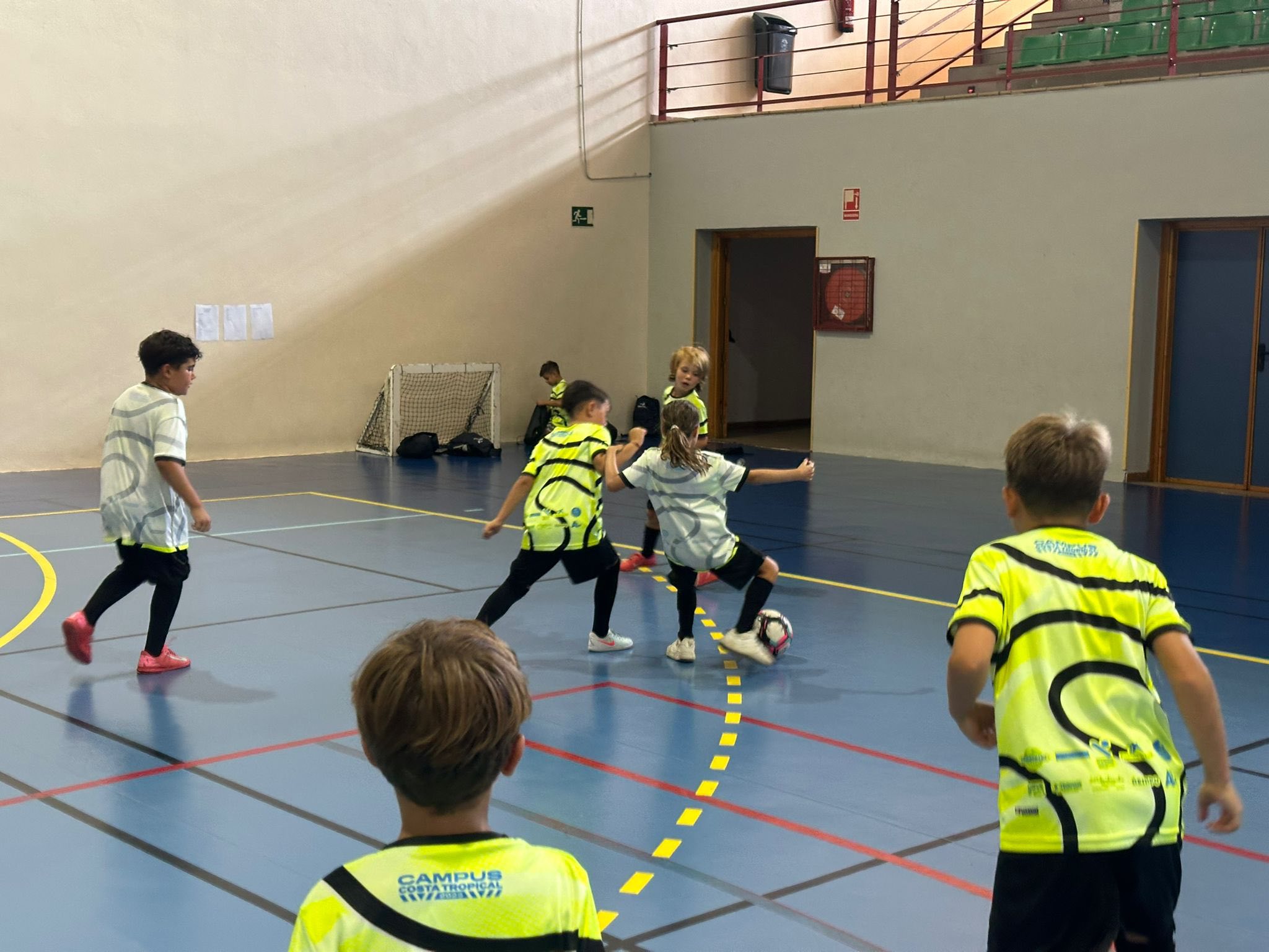 Inicio 519837856 1086287106935452 8885019724183112987 n